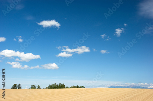 北海道・初秋d-28