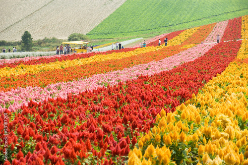 北海道・初秋d-58