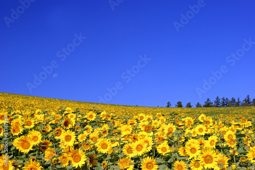 北海道・初秋d-63