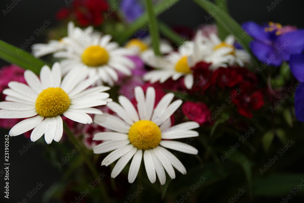 Fototapeta premium Blumenstrauß