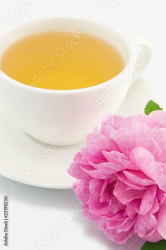 Herbal tea in white cup with pink rose close-up