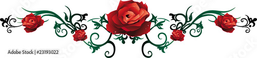 Rose, Rosen, Liebe, love, Blumen, Blüten, floral, rot