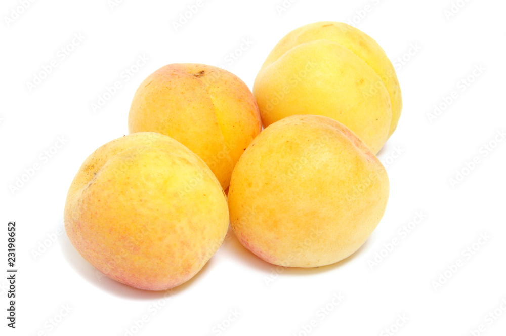 apricots apricots