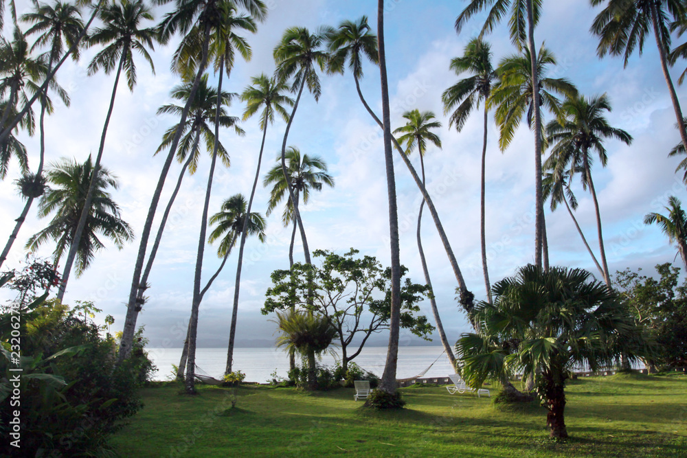 Tropical landscape