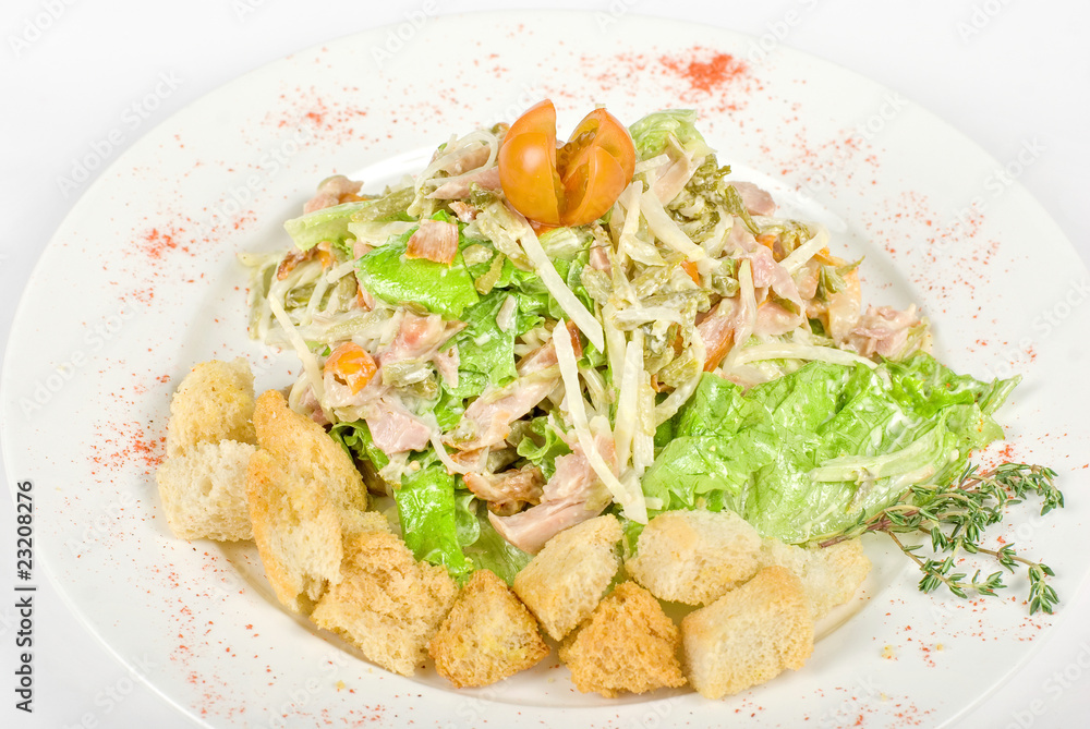 salad of meat, vegetable and dried crust salad of meat, vegetable and dried crust