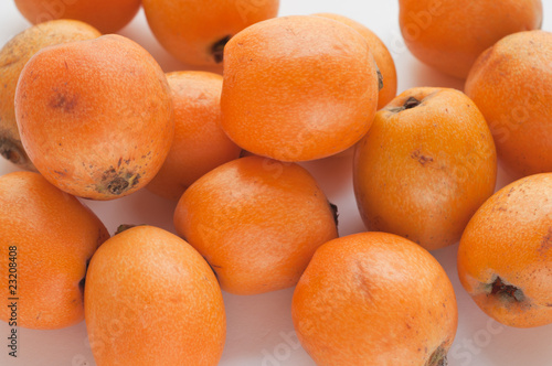loquat