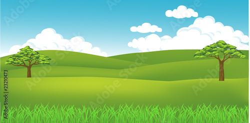 Grass landscape