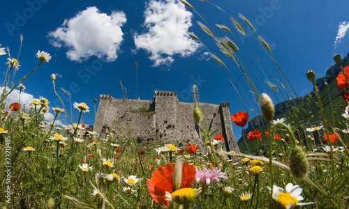 Inside italian summer:art,sun,flowers and colours