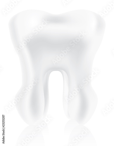 photo-realistic tooth