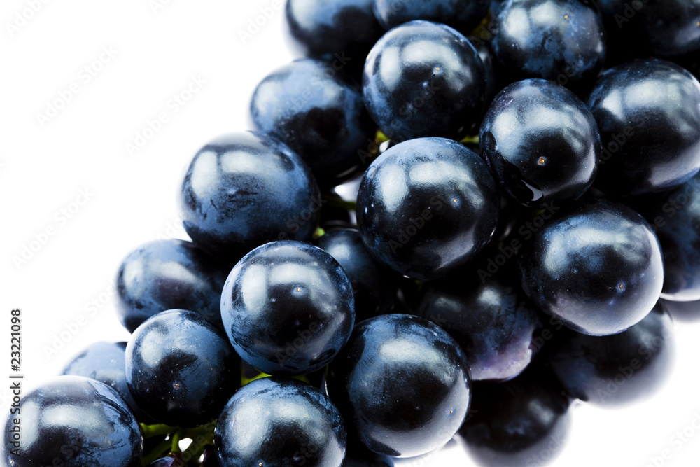 bunch of grapes isolated on white bunch of grapes isolated on white