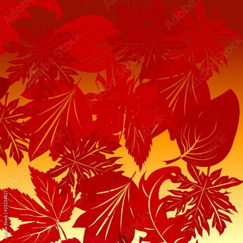 Leaves background