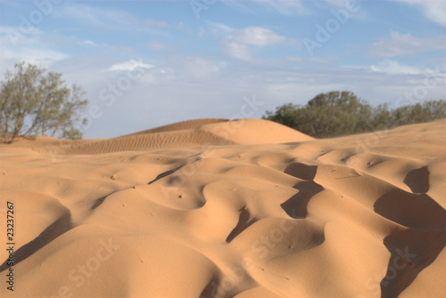 Sandüne in der Sahara