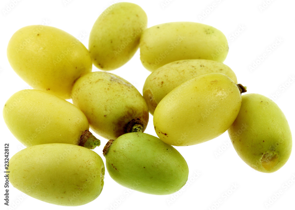 fruits mûrs du lilas des Indes, neem, margousier, fond blanc fruits mûrs du lilas des Indes, neem, margousier, fond blanc