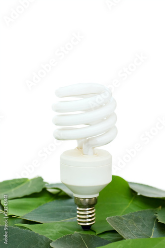 energy saving light bulb on green leaves