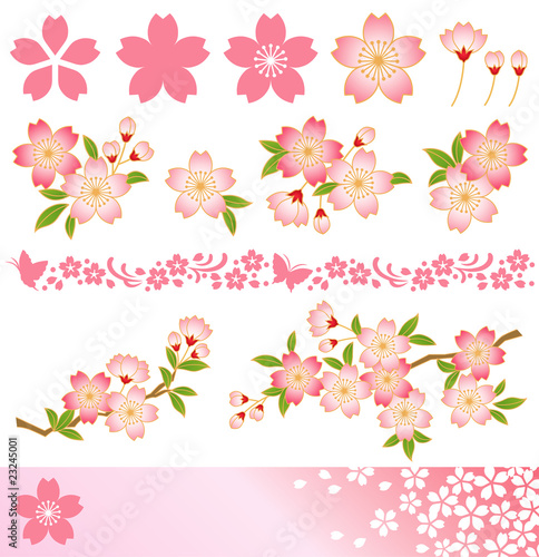 桜