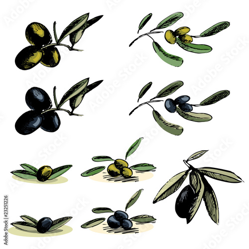 Set black and green olives illustrations