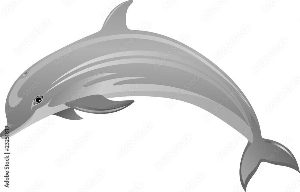 Obraz premium Delfino-Dolphin-Dauphin-Vector