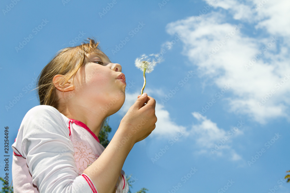 Pusteblume Pusteblume