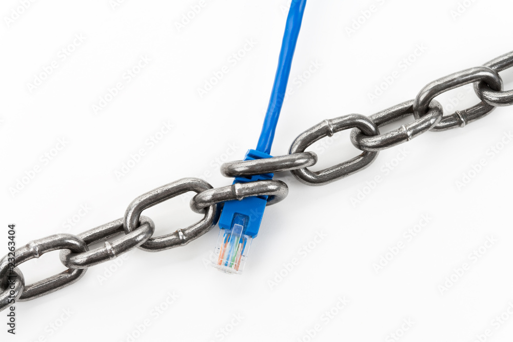 Chain and Network Connection Plug Chain and Network Connection Plug