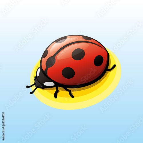 Ladybug