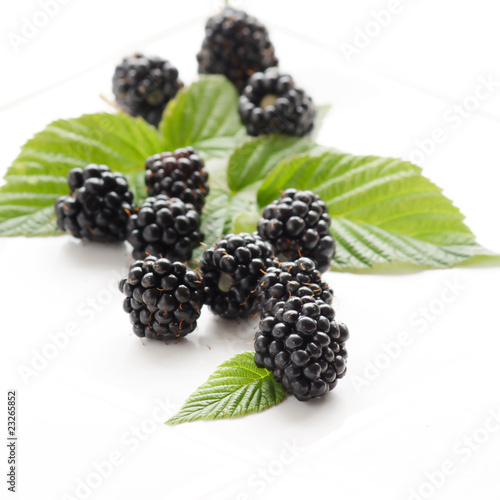 dewberries (blackberries) and green leaves