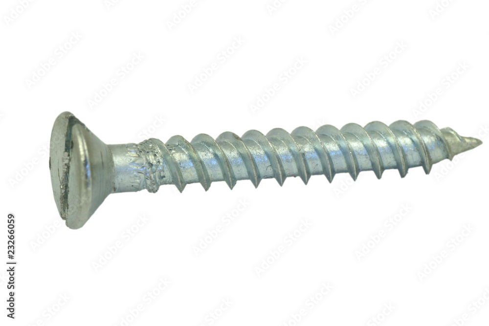 Silver screw Silver screw