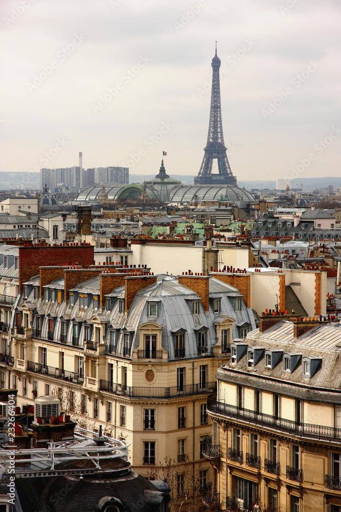 Fototapeta premium Paris cityscape with eiffel tower