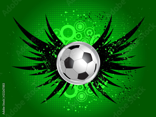 Football on grunge wings