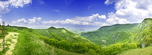 Fresh, clean summer landscape panorama © erika8213