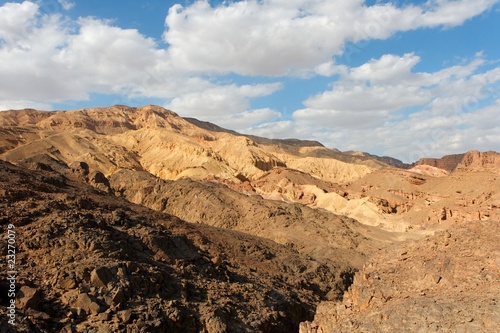 Stone desert landscape