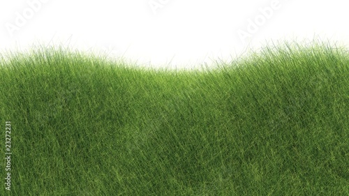 Zielone pagórki photo
