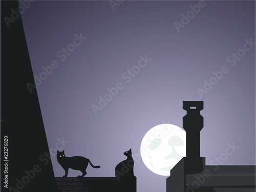 Gatos en la azotea