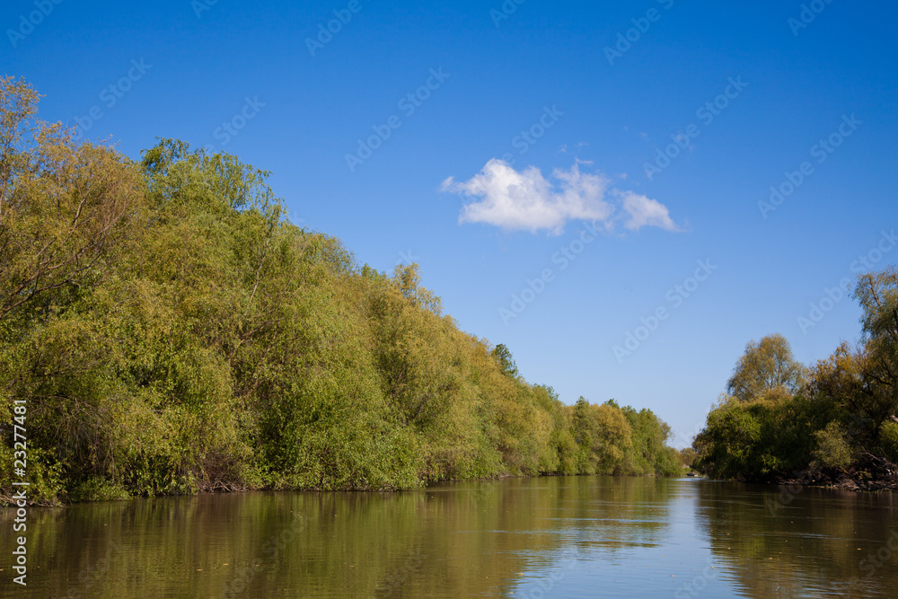 Fototapeta premium Danube Delta