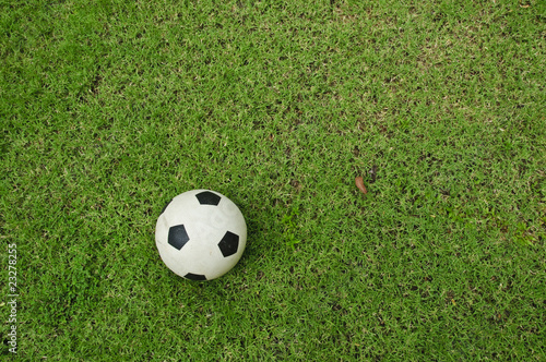 Soccer ball from top view
