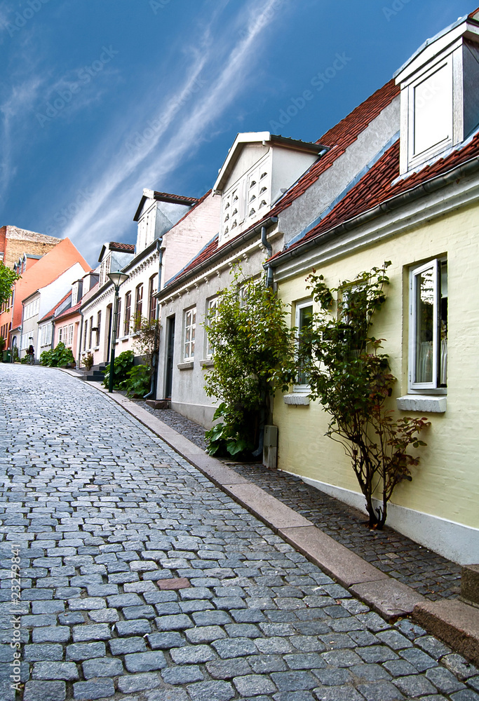 Rue danoise à Odense