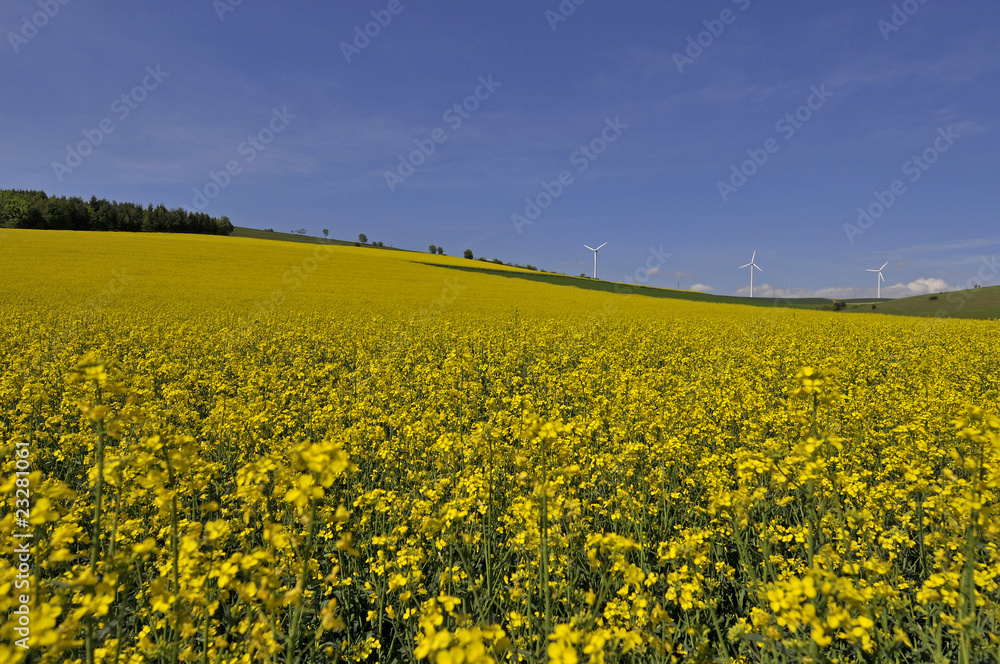 Obraz premium Windkraftanlagen