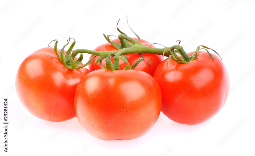 Nice bright isolate tomatoes on the white Nice bright isolate tomatoes on the white