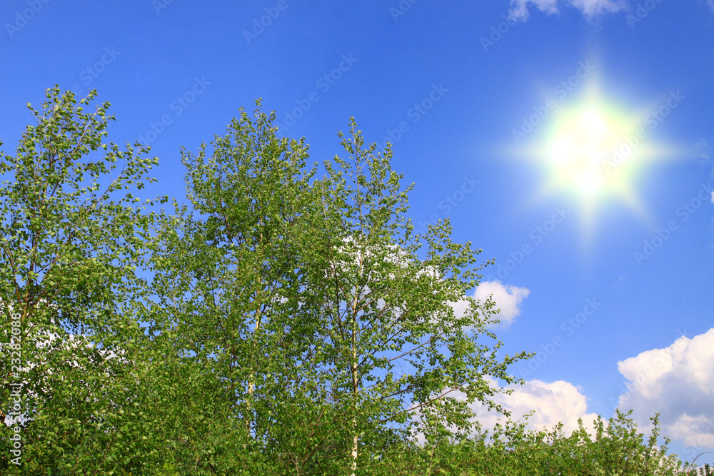 Obraz premium sonnenschein