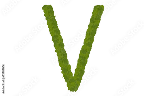 green leaves V