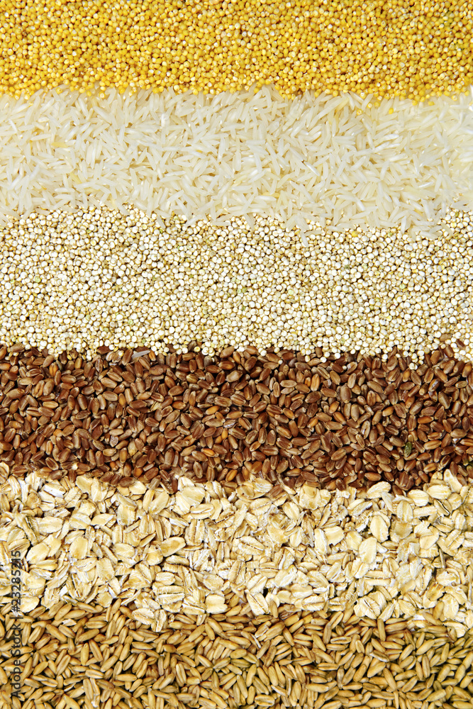 Fototapeten Getreide Getreide - Various grains close up #23285215