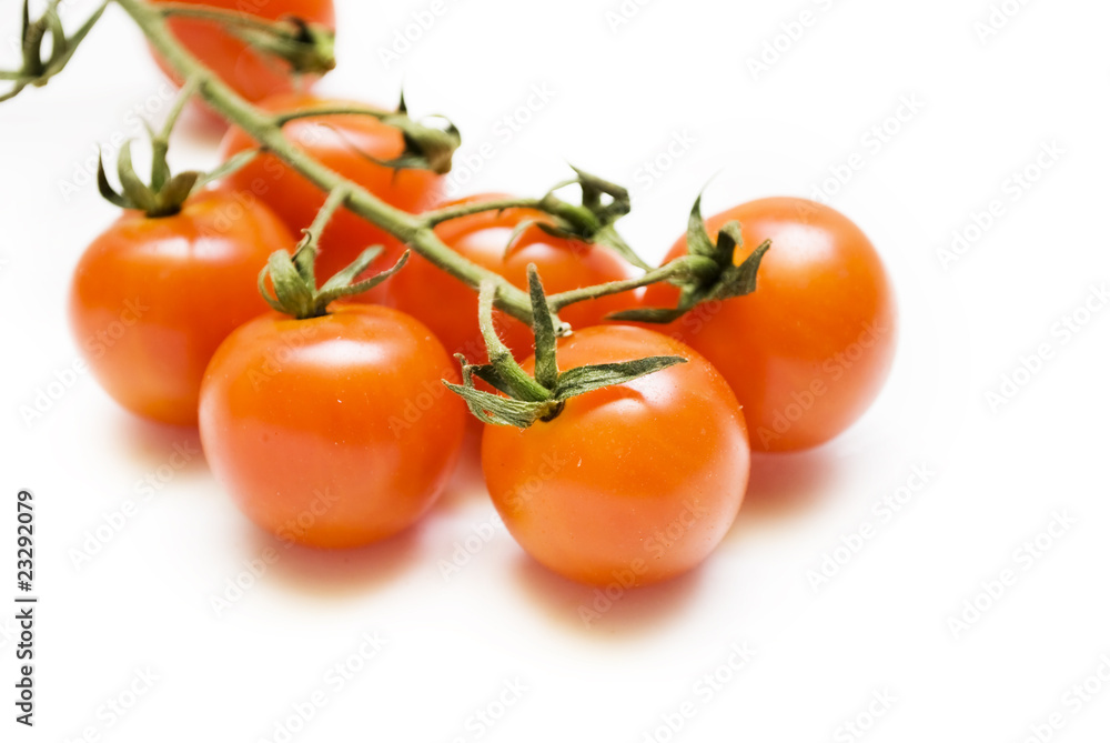 tomate tomate