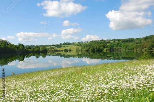 Fototapeta Lac, champ de marguerites
