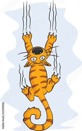 falling cat