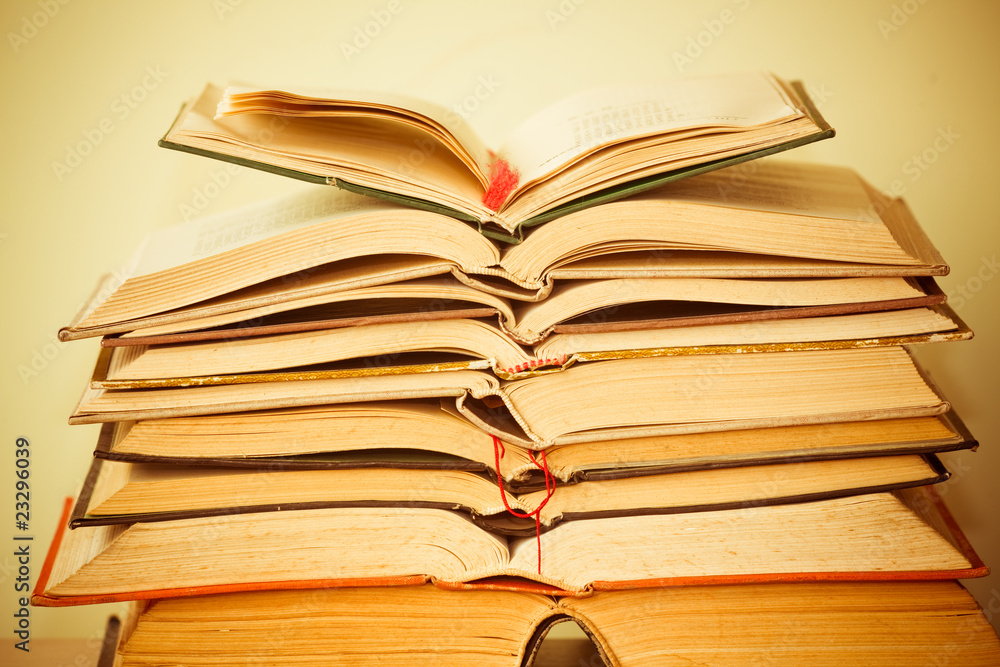 Naklejka premium book