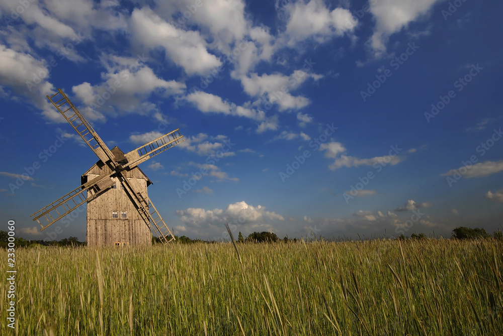 Fototapeta premium windmill at sunset
