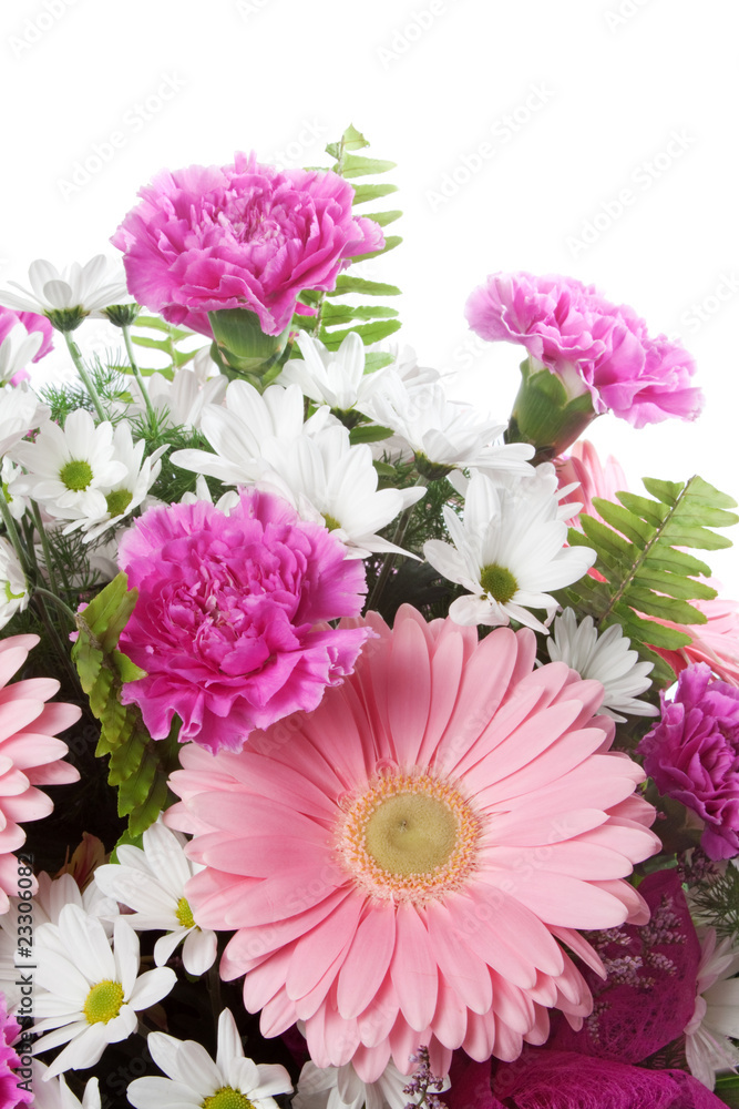 Pink and White Flowers Pink and White Flowers