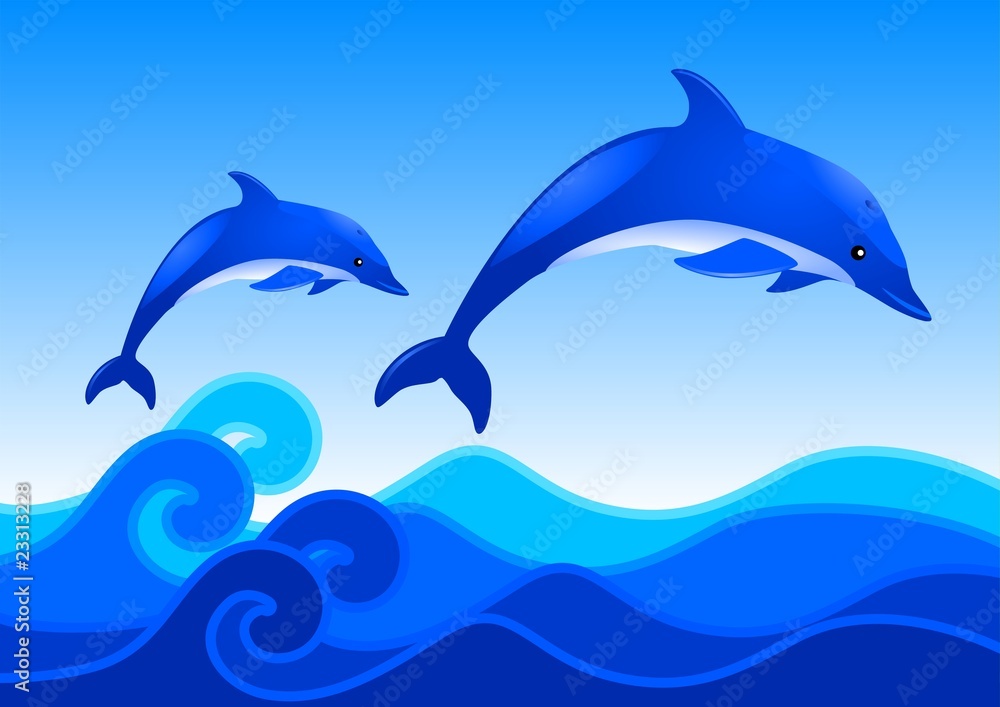 Fototapeta premium Dolphin