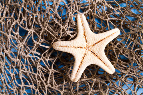 Starfish on fishing net