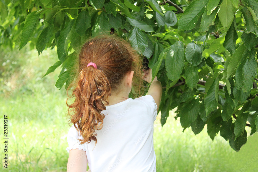 Petite fille cueillant dans l'arbre Petite fille cueillant dans l'arbre