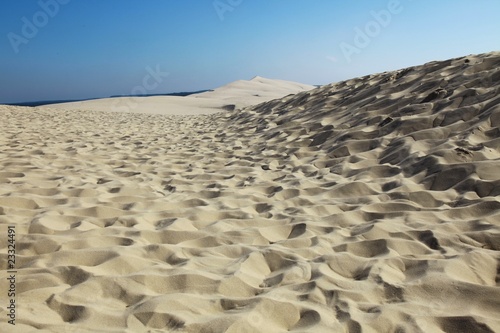 pyla, la dune